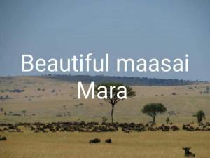 a herd of animals in a field with the words beautiful masai mara at D-TURA Guest House in Sekenani