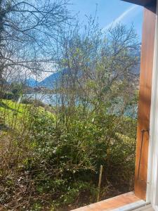 ein Fenster mit Blick auf ein Feld und Wasser in der Unterkunft BELLEVUE Boutique B&B am Brienzersee / Iseltwald in Iseltwald