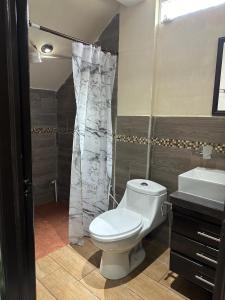 La salle de bains est pourvue de toilettes, d'un lavabo et d'une douche. dans l'établissement CASA DE DESCANSO TZANJAAY, à San Juan La Laguna
