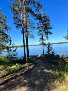 Fotografie z fotogalerie ubytování Käpälämäki puhtaan veden äärellä omassa rauhassa v destinaci Enonkoski