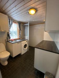 a bathroom with a toilet and a sink and a washing machine at Käpälämäki puhtaan veden äärellä omassa rauhassa in Enonkoski