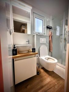 a small bathroom with a toilet and a sink at Mobile home TASHA in Biograd na Moru