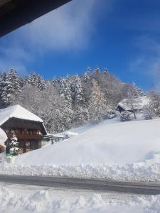 um monte de neve em frente a uma cabana em Dein Kuschelnest im traumhaften Hochschwarzwald Alles neu auf 55m2 Top Komfort-Erdgeschosswohnung em Todtmoos