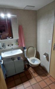 a bathroom with a toilet and a sink at Gibelhüüs 2-Bettwohnung - b48627 in Hasliberg Wasserwendi