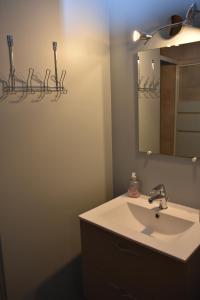 a bathroom with a sink and a mirror at Gîte de montagne Le Batoua in Sailhan