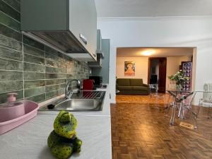 a kitchen with a frog sitting on the counter in a kitchen at Villanova d'Asti Charming House with barbecue by Alterego in Villanova dʼAsti