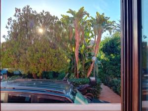Villa venere e spa في باليرمو: انعكاس لسيارة في نافذة بها نخيل