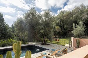 uma piscina com uma árvore e cactos em Villa Piccula em Brando