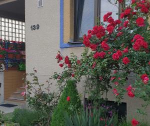 Ein Haufen roter Rosen auf der Seite eines Hauses in der Unterkunft Vila Imagina in Ratboř