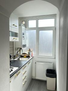 une cuisine avec un évier et une fenêtre dans l'établissement Special apartment NADEVA, à Suceava