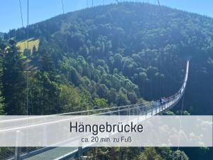 a bridge in the middle of a mountain at Fewo Herzgrün mit Balkon und Traumblick direkt an Wanderwegen und Sauna im Haus in Todtnauberg