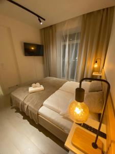 Postel nebo postele na pokoji v ubytování Apartmán u starého pivovaru