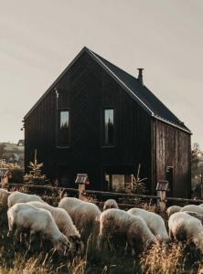 d'un troupeau d'ovins faisant paître devant une grange dans l'établissement Owczarnia Tatry, à Bukowina Tatrzańska