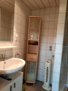 La salle de bains est pourvue d'un lavabo et d'une douche. dans l'établissement Ferienhaus Keller, à Freyung