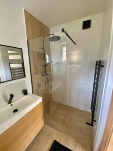 新塔爾格的住宿－Apartament Guziczek2，带淋浴、盥洗盆和镜子的浴室