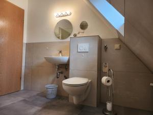 een badkamer met een wastafel, een toilet en een spiegel bij Ferienwohnung Auf der Heide in Großschönau