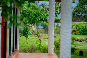 Zahrada ubytování Passi Nature Villas Passikudah