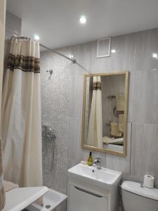 ヴィーンヌィツャにあるАпартаменты на Магистрацкой Центрのバスルーム(洗面台、トイレ、鏡付)