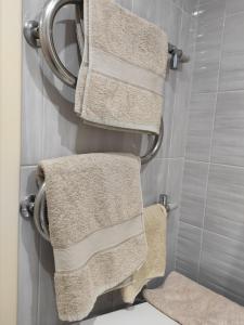 ヴィーンヌィツャにあるАпартаменты на Магистрацкой Центрのバスルームのタオル掛けに掛けられているタオル3枚