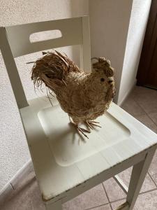 un oiseau assis au-dessus d'une chaise blanche dans l'établissement Maison Semon, à Semon