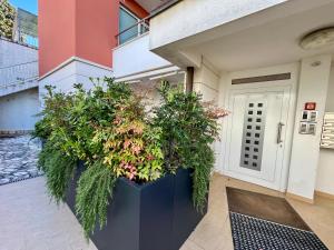 una gran olla de plantas delante de una puerta en Apartment Golden Sun, en Dramalj