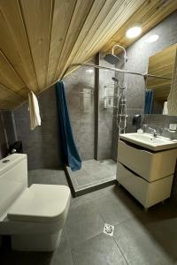 a bathroom with a shower and a toilet and a sink at Ranger Campus Eco Lodge in Urtsʼadzor