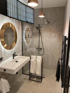 ル・プレシ・ロバンソンにあるLA MAISON DE ROBINSONの洗面台、鏡、シャワー付きのバスルーム
