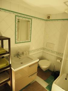 皮茲河谷阿茲爾的住宿－Apart Desiree，一间带水槽和卫生间的浴室