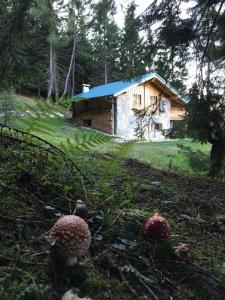 eine Blockhütte mit blauem Dach in einem Wald in der Unterkunft Ferienhaus in Pieve Di Bono mit Grill, Garten und Sauna in Pieve di Bono