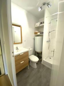 a bathroom with a toilet and a sink and a shower at Appartements avenue général Leclerc in Vienne