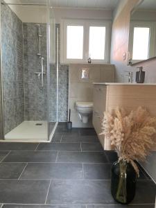 a bathroom with a shower and a toilet at Domaine Rosfelder - locations de gîte et cabane insolite in Gertwiller