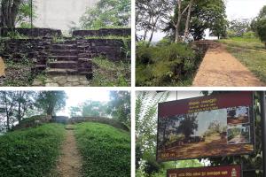 a series of four pictures of a trail in the jungle at Alagalla Terrace in Kadugannawa