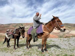 un homme assis sur un cheval à côté d'un âne dans l'établissement Maison d hôtes a Tioute Chez Abdelmajid, à Tiout