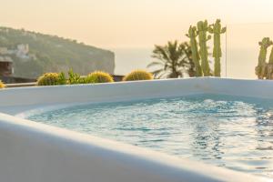 jacuzzi z kaktusami i kaktusami w obiekcie Palazzo Scaramellino w mieście Vico Equense