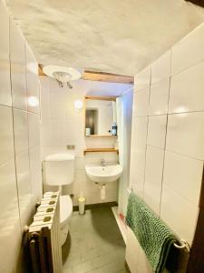 un bagno con un water e un lavandino di Monolocale accogliente a Bardonecchia