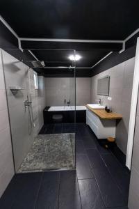 y baño con ducha, aseo y lavamanos. en Südschleife Apartments - App. 3 - Direkt am Ring, en Reimerath