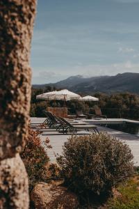 Príroda v okolí vily