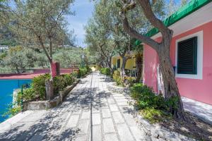 a street in front of a house with trees at Camping Villaggio Nettuno in Nerano