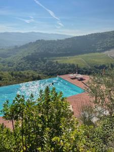 une piscine au milieu d'une rivière dans l'établissement Castello Vicchiomaggio, à Greve in Chianti
