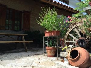 Um jardim no exterior de Quinta Formosa