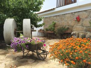 Um jardim no exterior de Quinta Formosa