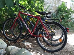 Andar de bicicleta em Quinta Formosa ou nos arredores