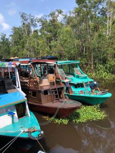 three boats are docked in the water on a river at Orangutan Houseboat Park Tanjung Puting in Pangkalan Bun