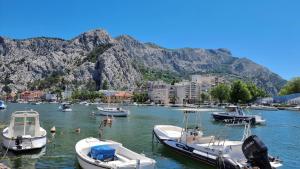 Φυσικό τοπίο κοντά σε αυτό το διαμέρισμα