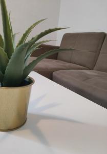 eine Pflanze, die auf einem Tisch neben einer Couch sitzt in der Unterkunft Bilocale 5 a pochi passi da Milano in Sesto San Giovanni