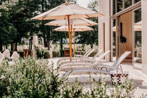 Zahrada ubytování Der Eisvogel - Wellness- & Genusshotel