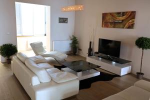 TV a/nebo společenská místnost v ubytování Royal Apartments Brussels