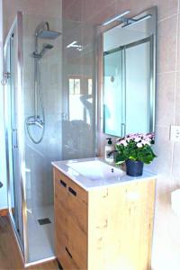 La salle de bains est pourvue d'un lavabo et d'une douche avec un miroir. dans l'établissement La Calleja Real, à Liérganes