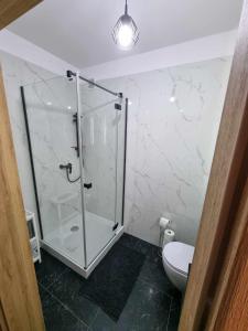 a bathroom with a glass shower and a toilet at Apartament Nad Wisłą u Ani in Tczew +6 photos
