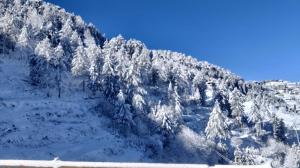 a mountain with snow covered trees on top of it at The Kufri Retreat I Vacations I Conference I MICE I Family Events I Open Air Terrace I Sky Bonfire I Wooden Rooms With Pvt Balconies I by Exotic Stays in Shimla